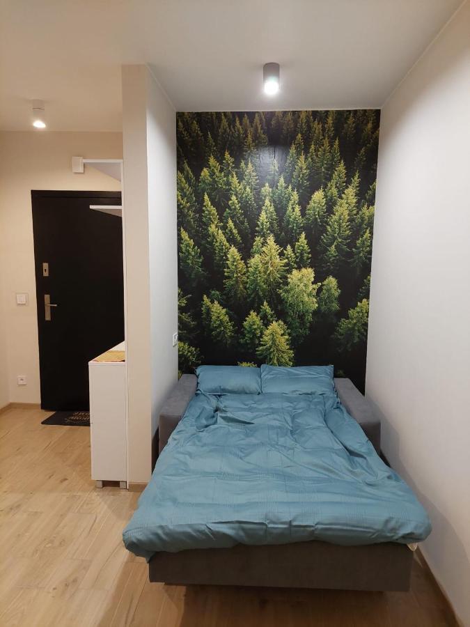 Apartament pod górą Szyndzielnia , Dębowiec Bielsko-Biała Exterior foto